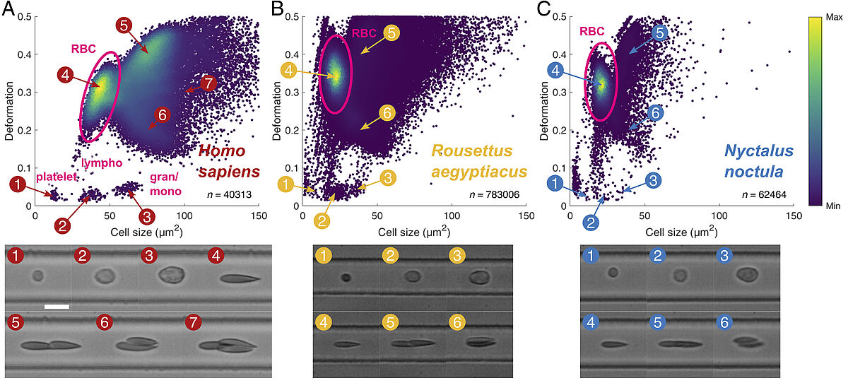 PNAS 2024