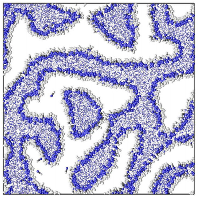 Image from: E. Tüzel, G. Pan, T. Ihle, and D. M. Kroll, Europhys. Lett. 80: 40010 (2007)